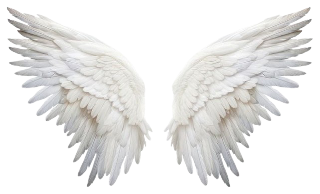 wings